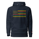 Load image into Gallery viewer, Buffalo Flag Embroidered Hoodie
